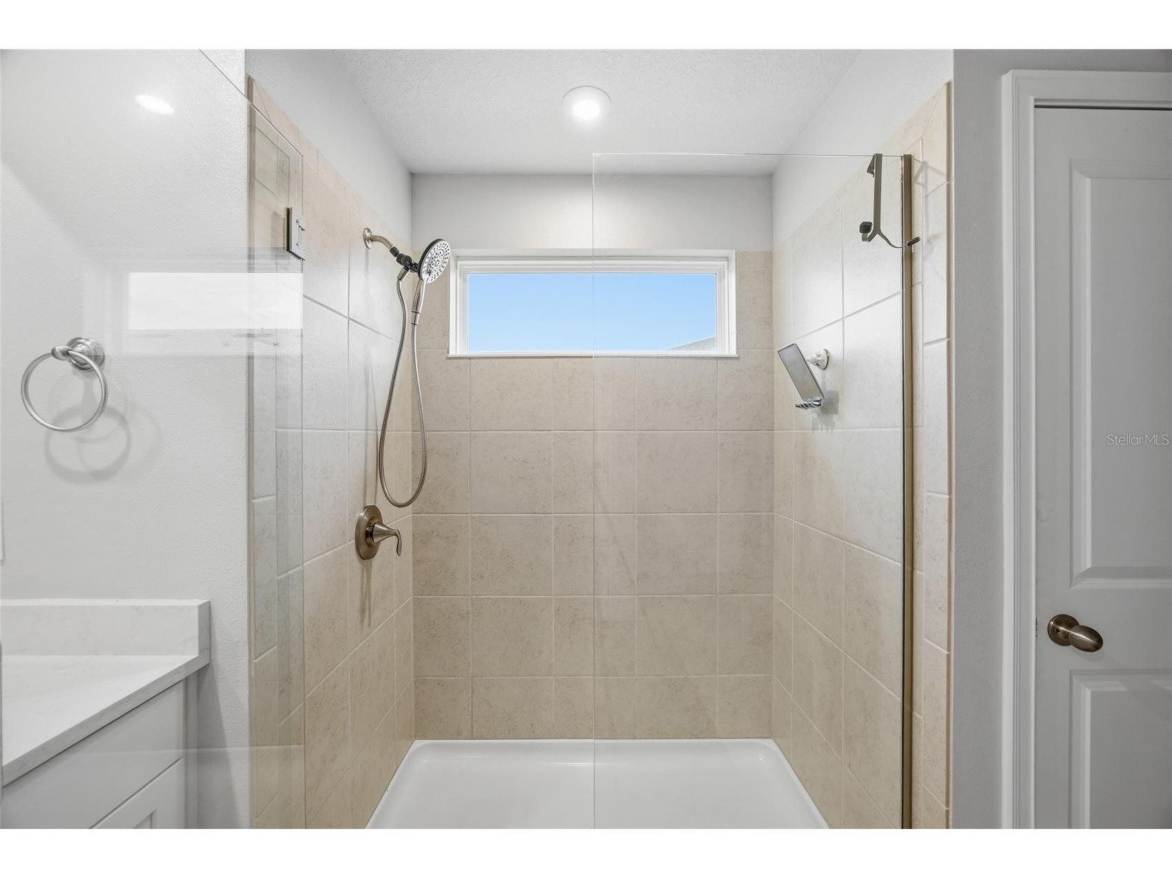 6041 Grand Sonata Avenue Lutz FL 33558 TB8452771 image23