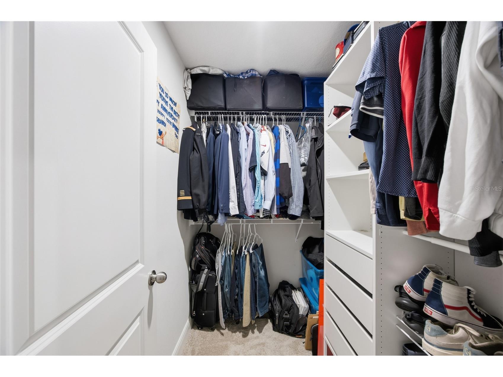 6041 Grand Sonata Avenue Lutz FL 33558 TB8452771 image24