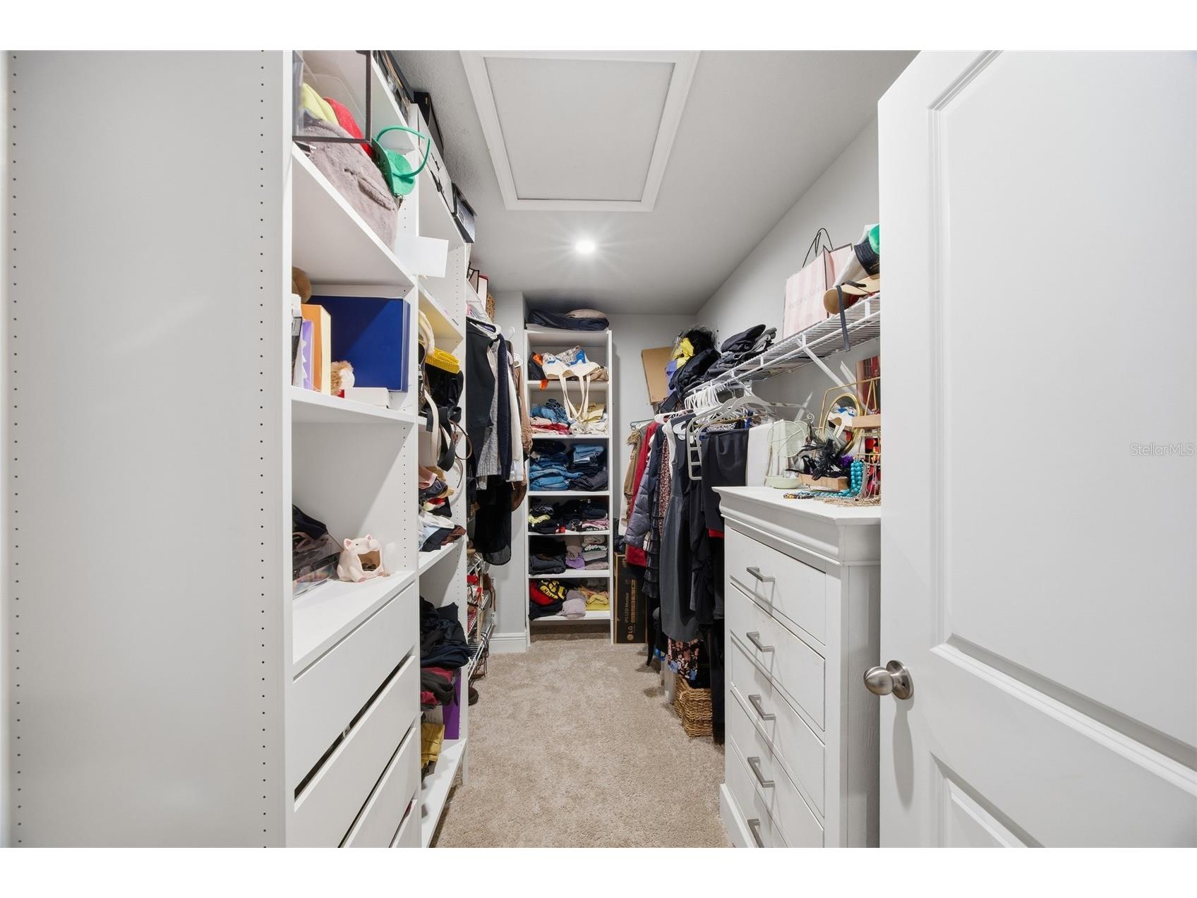 6041 Grand Sonata Avenue Lutz FL 33558 TB8452771 image25