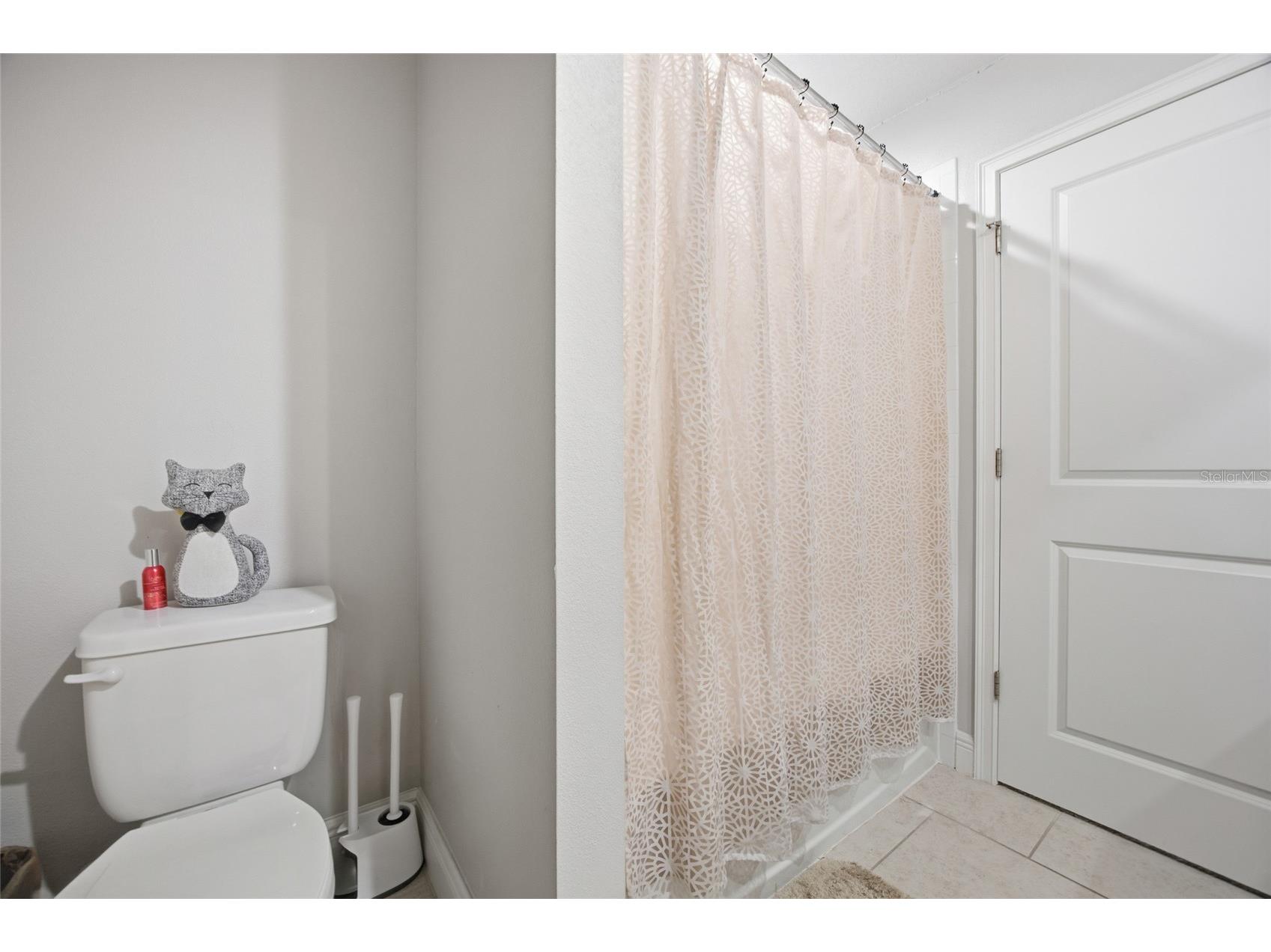 6041 Grand Sonata Avenue Lutz FL 33558 TB8452771 image29