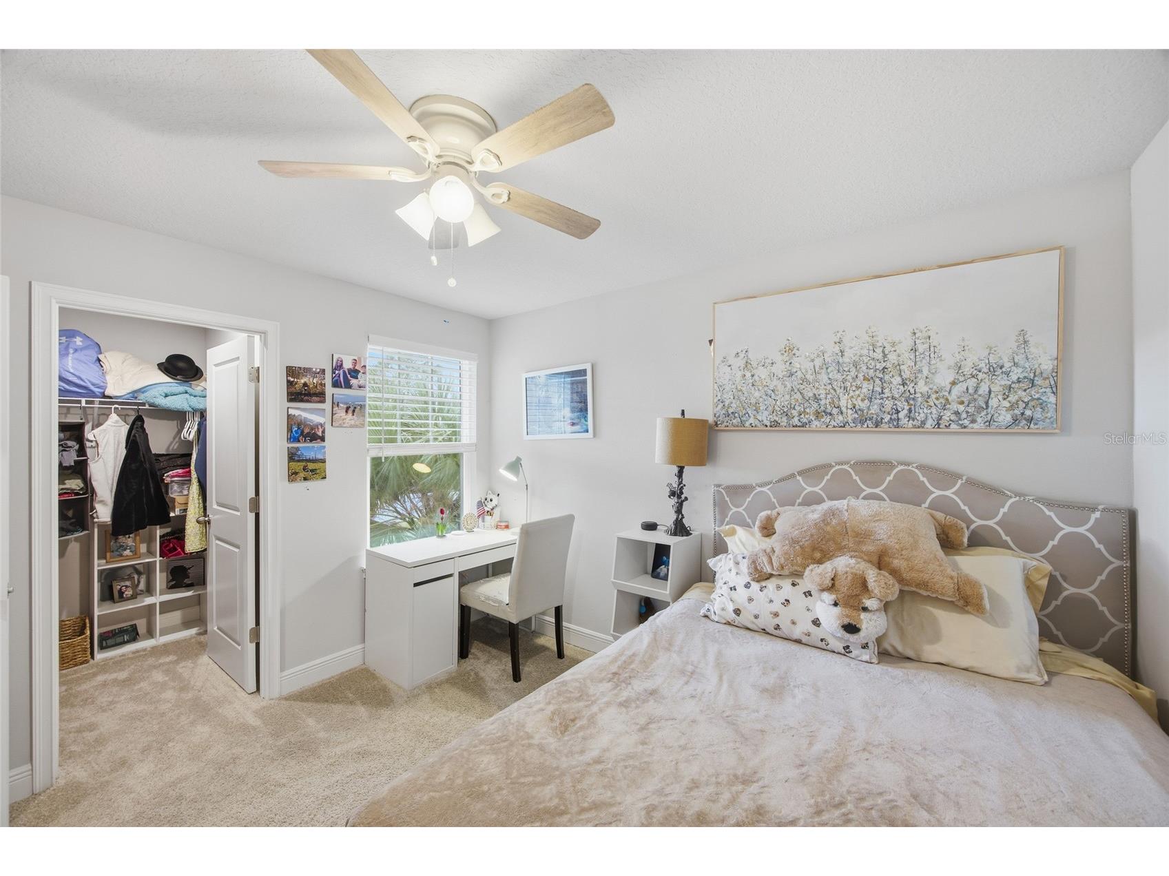 6041 Grand Sonata Avenue Lutz FL 33558 TB8452771 image31