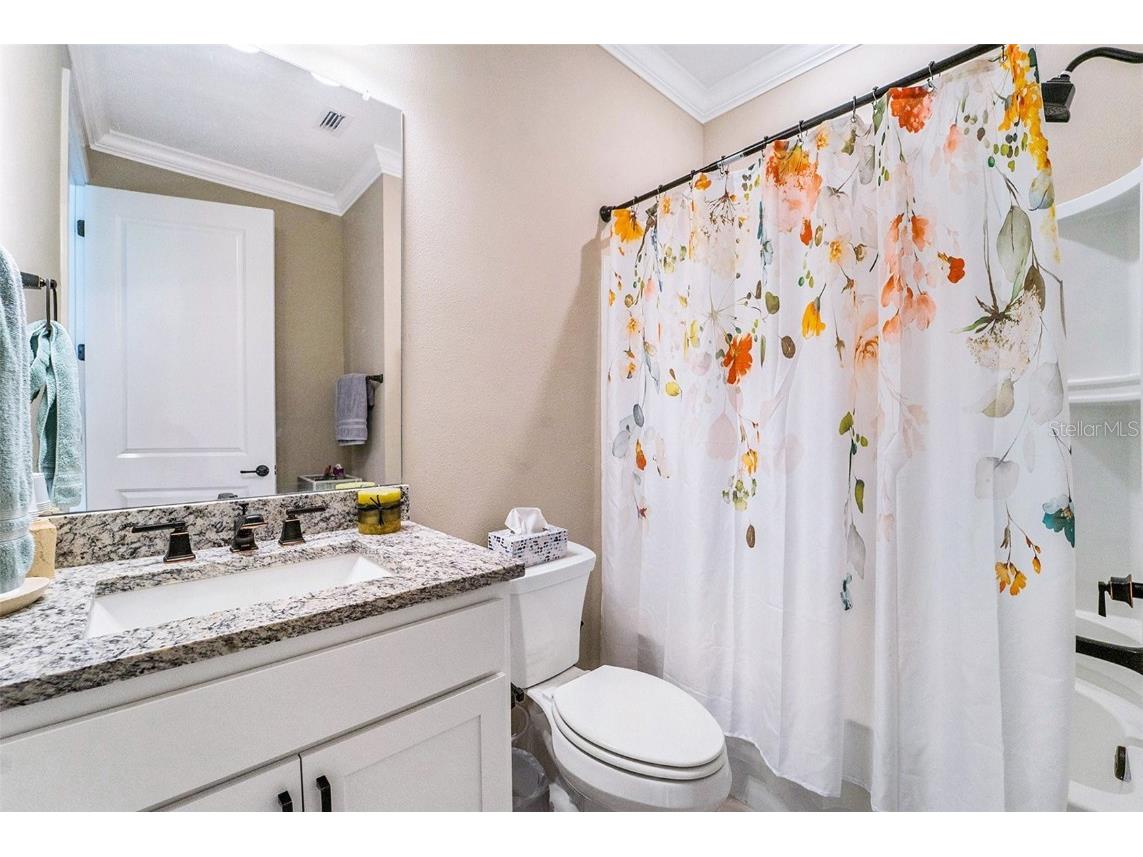 6041 Shorebird Branch Land O Lakes FL 34638 TB8444724 image18