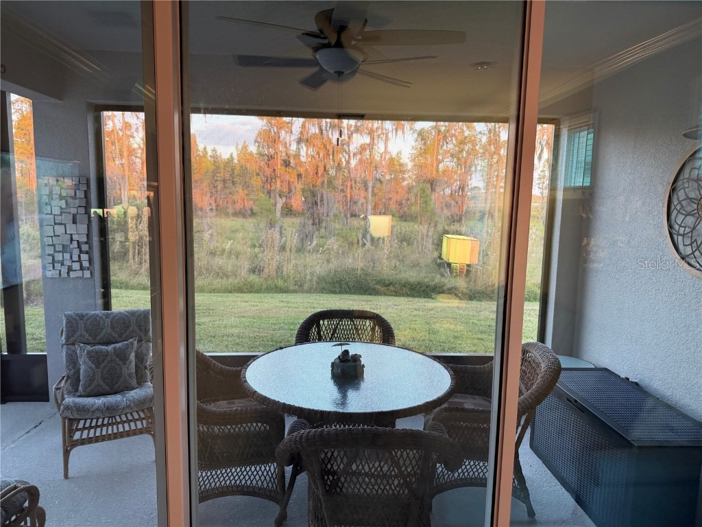 6041 Shorebird Branch Land O Lakes FL 34638 TB8444724 image22