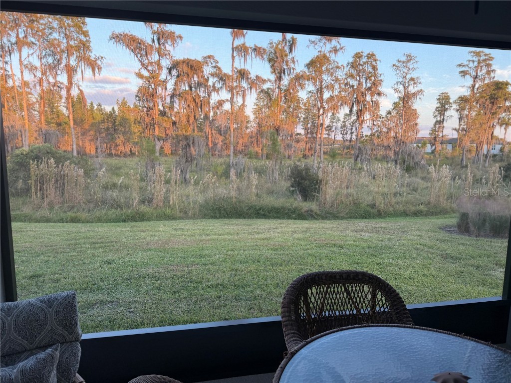 6041 Shorebird Branch Land O Lakes FL 34638 TB8444724 image23