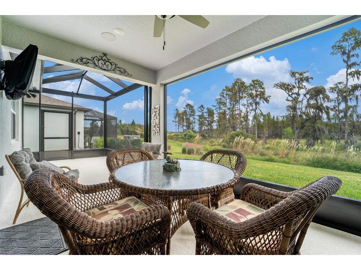 6041 Shorebird Branch Land O Lakes FL 34638 TB8444724 image24