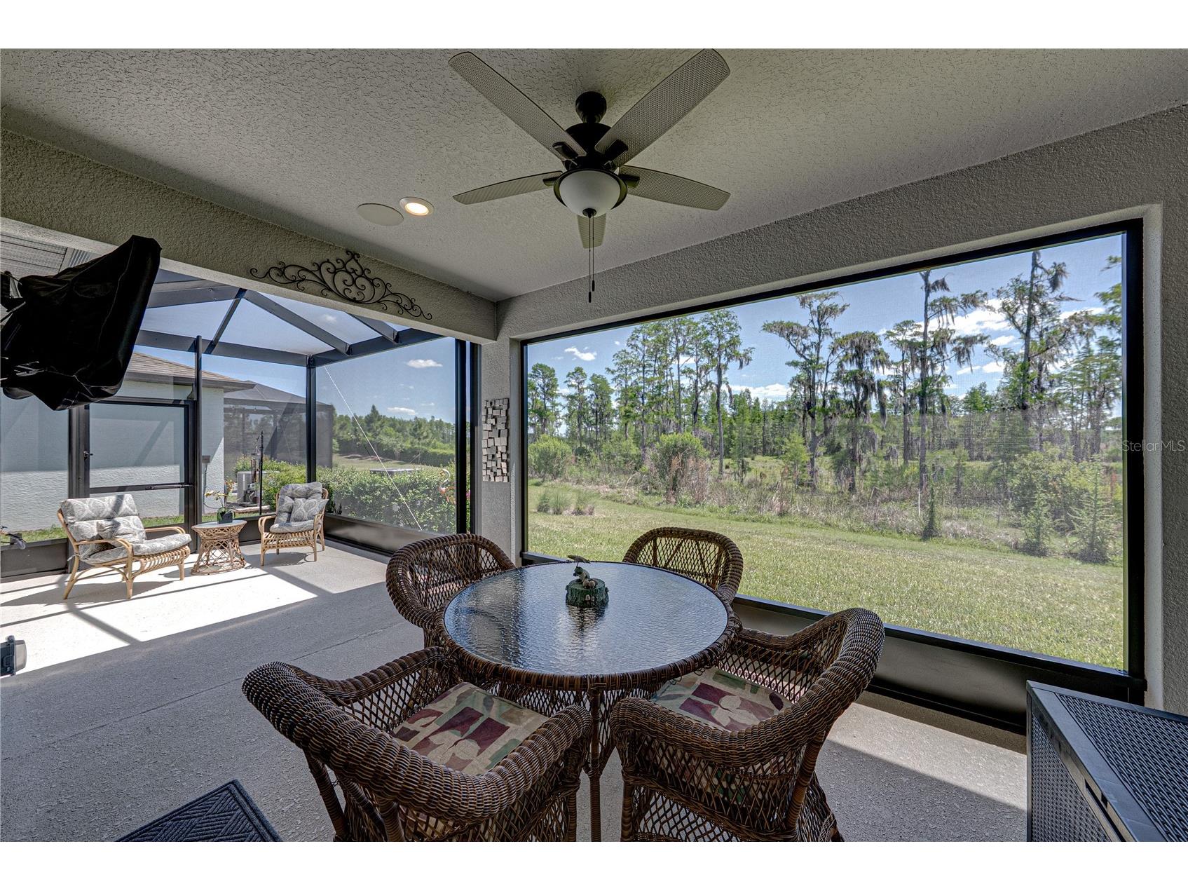 6041 Shorebird Branch Land O Lakes FL 34638 TB8501220 image2