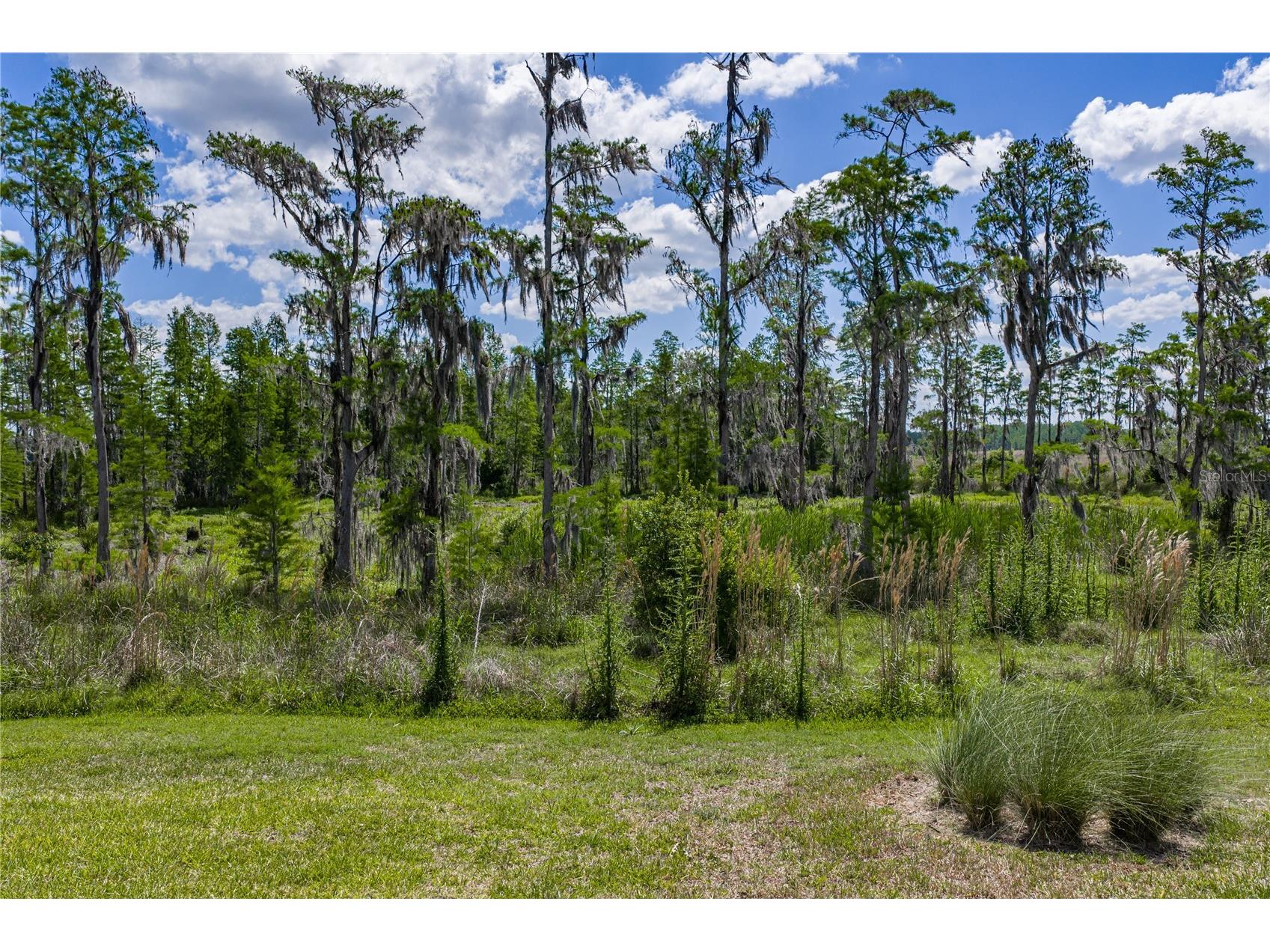 6041 Shorebird Branch Land O Lakes FL 34638 TB8501220 image4