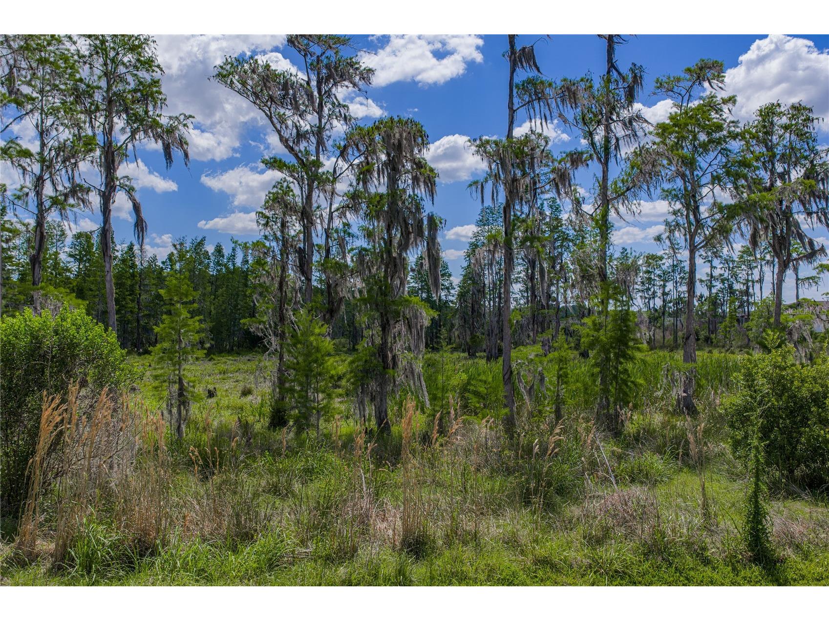 6041 Shorebird Branch Land O Lakes FL 34638 TB8501220 image61