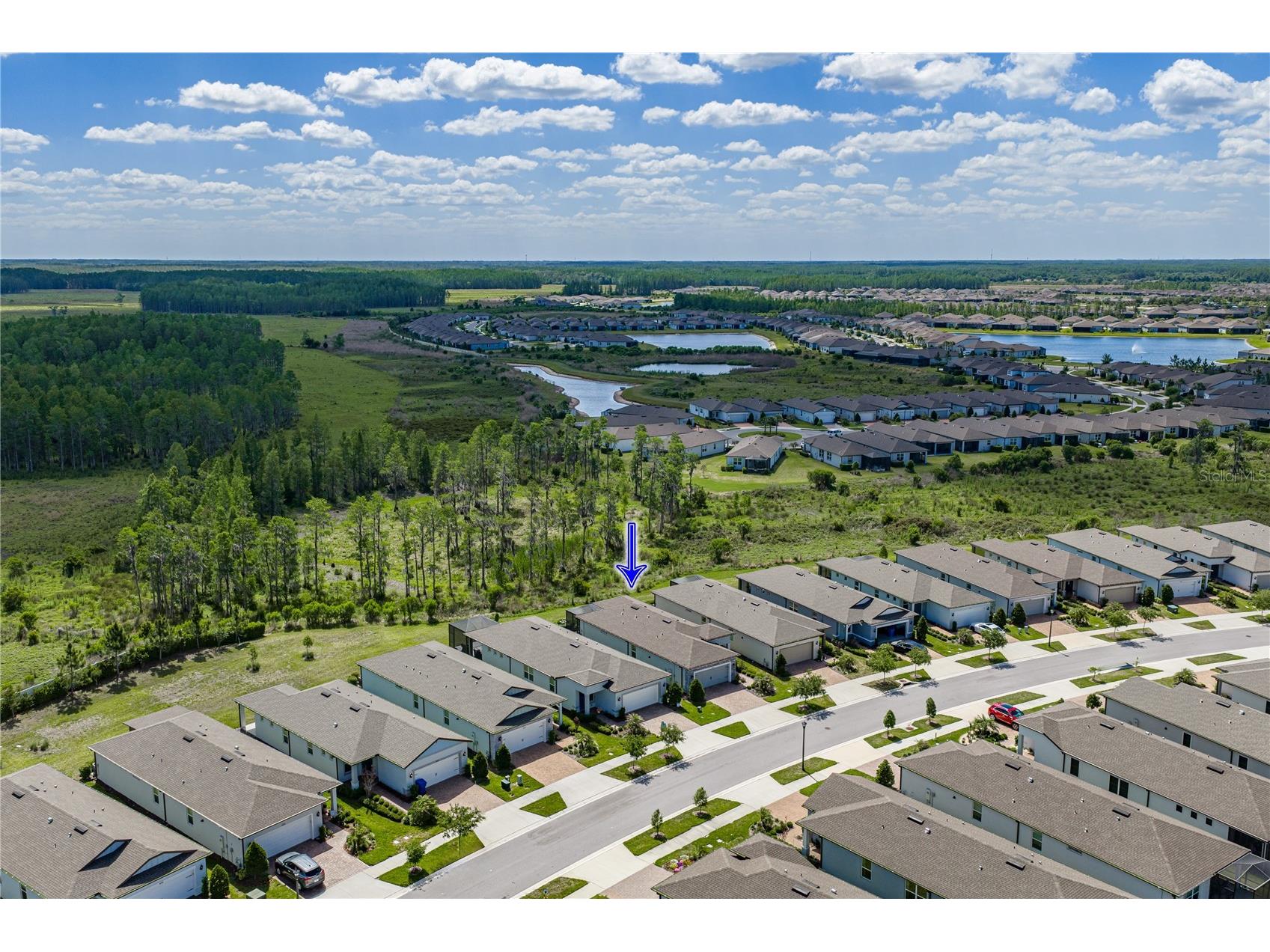 6041 Shorebird Branch Land O Lakes FL 34638 TB8501220 image64