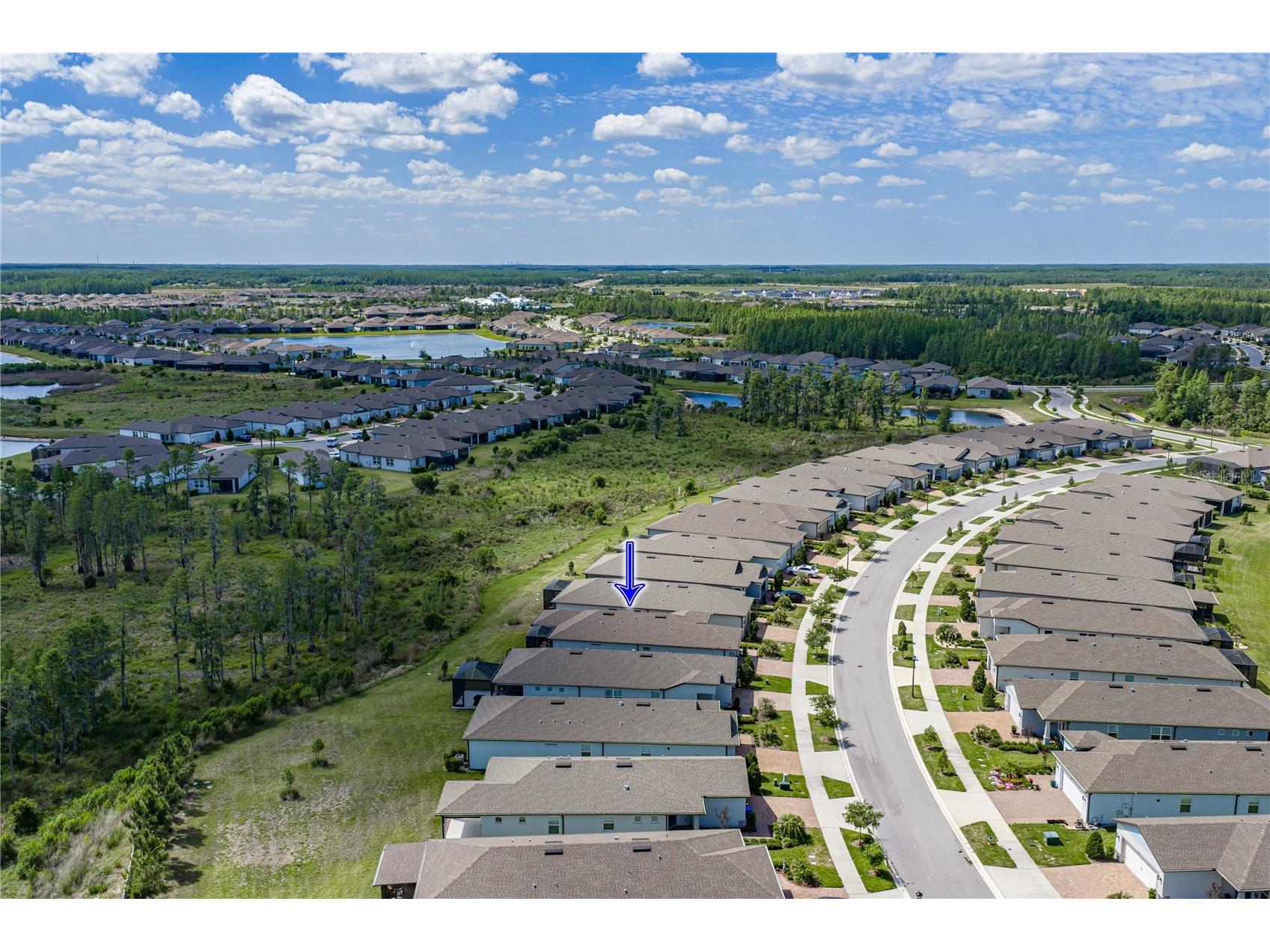 6041 Shorebird Branch Land O Lakes FL 34638 TB8501220 image65