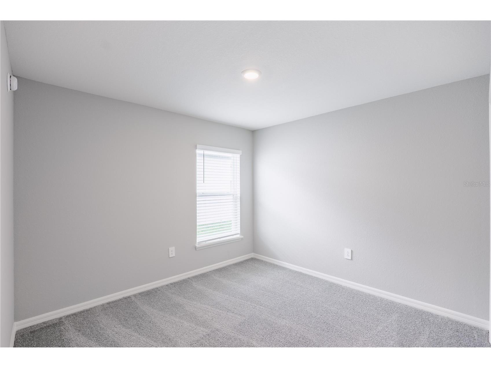 6042 Ballast Drive Wimauma FL 33598 L4957158 image14