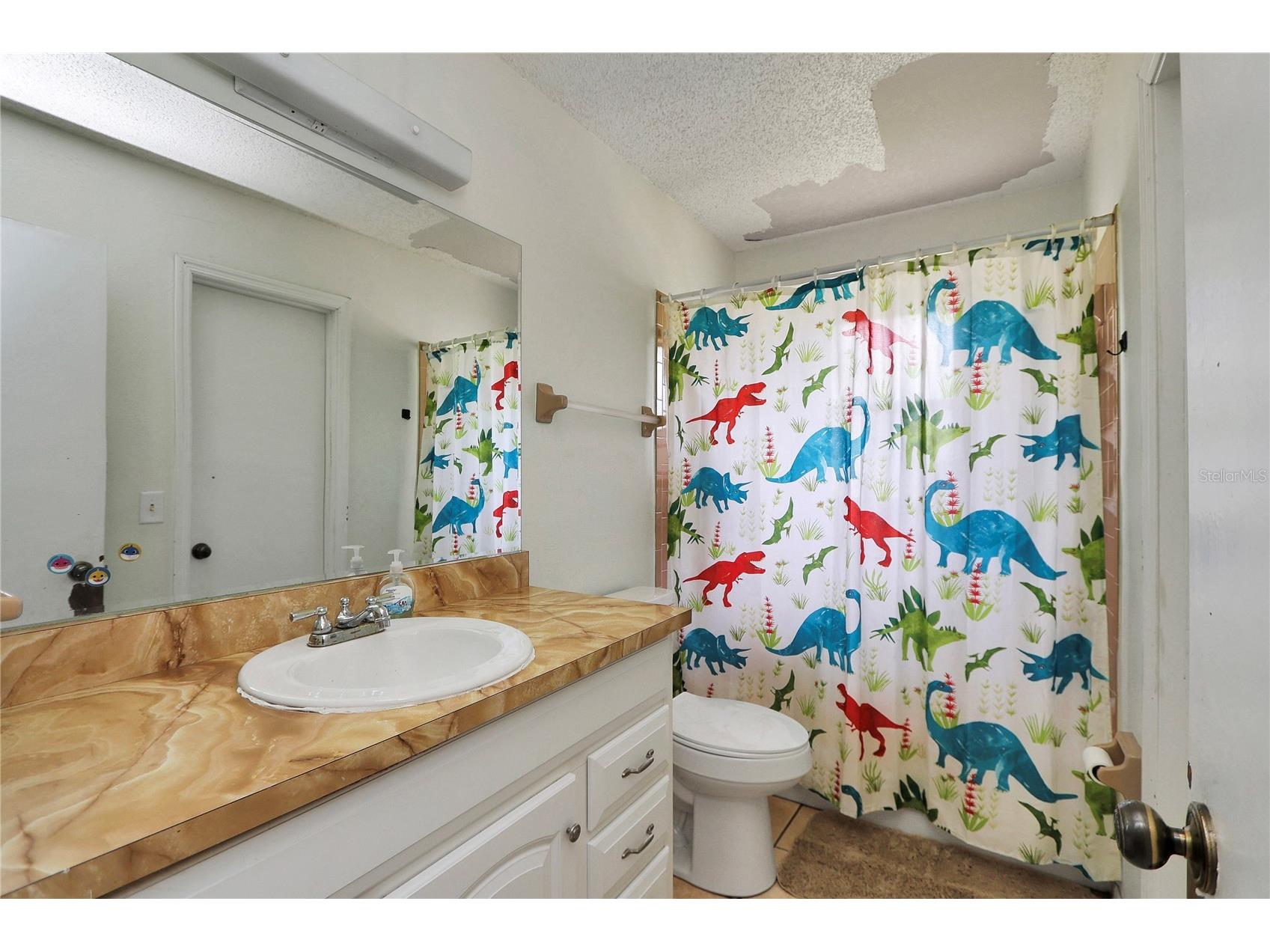 6042 NW 54th Terrace Ocala FL 34482 OM725267 image13