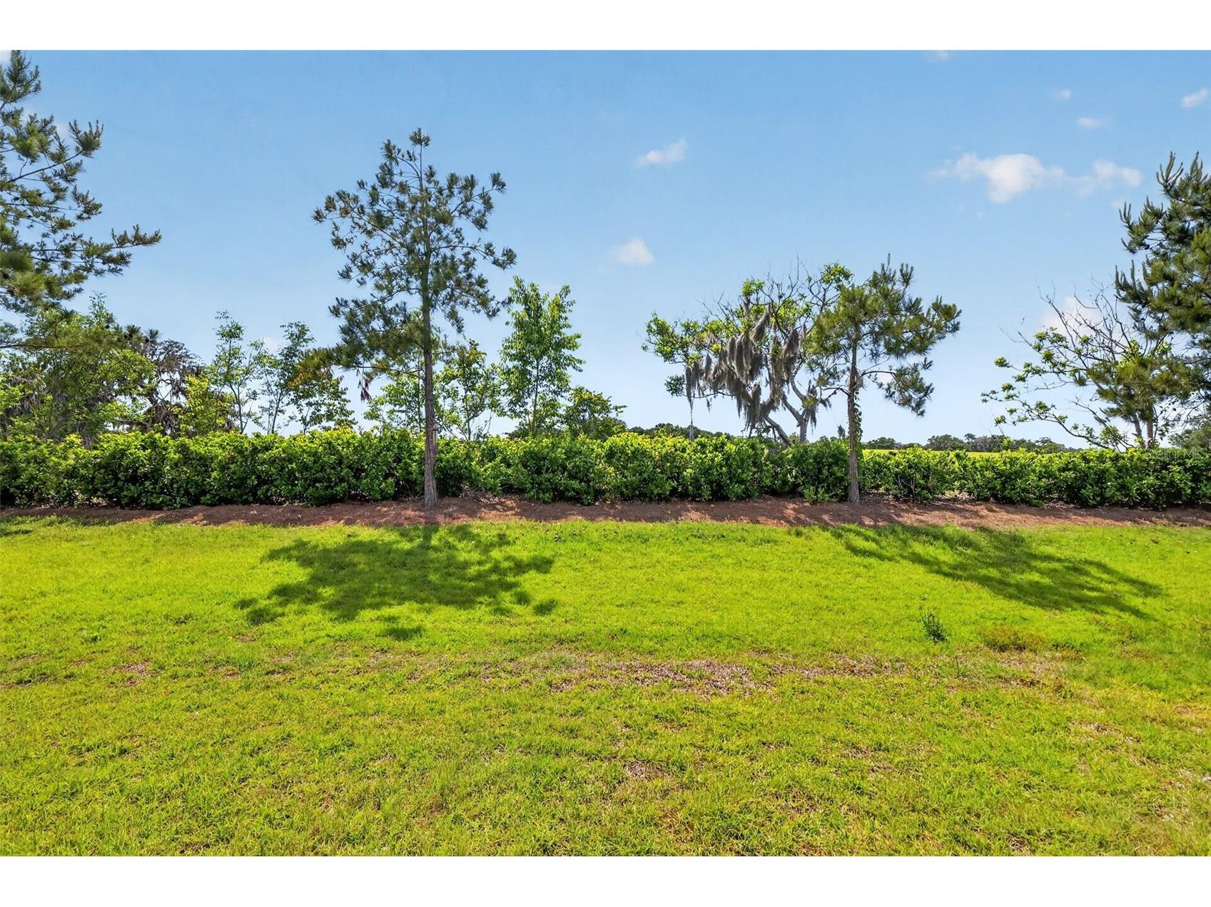 6042 SW 93rd Circle Ocala FL 34481 G5111946 image26