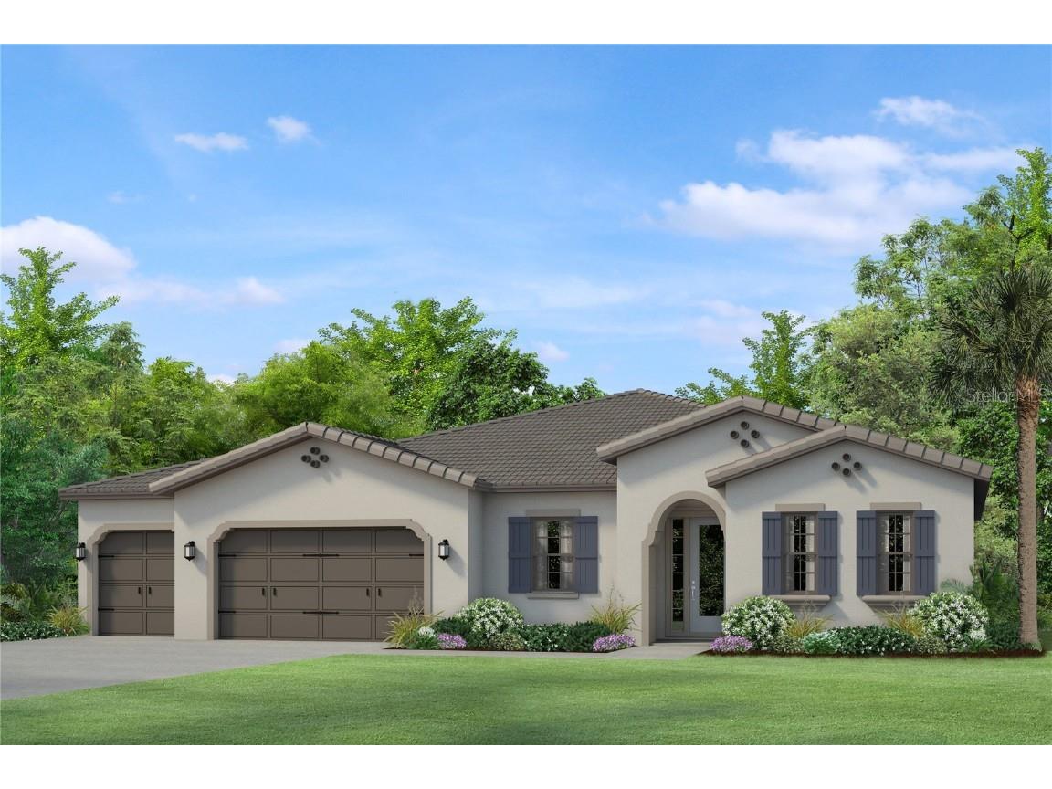 6043 Marsh Trail Drive Odessa FL 33556 T3418406 image1