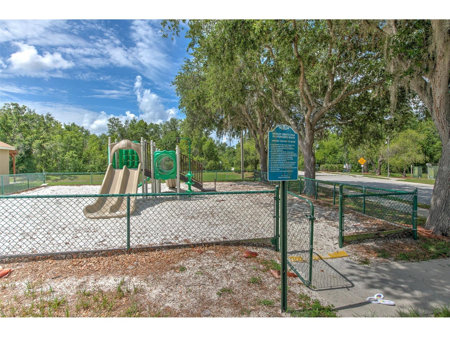6043 Pointe Pleasant Boulevard Wesley Chapel FL 33545 TB8516085 image22