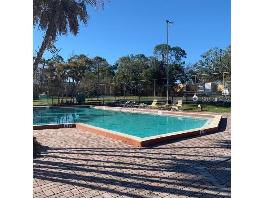 6043 Village Circle #6043 Orlando FL 32822 O6408558 image20