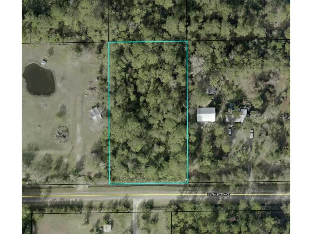 6044 Nutwood Avenue Bunnell FL 32110 TB8455295 image1