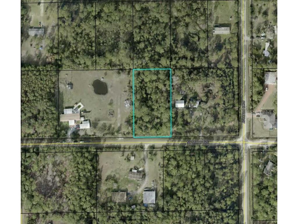 6044 Nutwood Avenue Bunnell FL 32110 TB8455295 image2