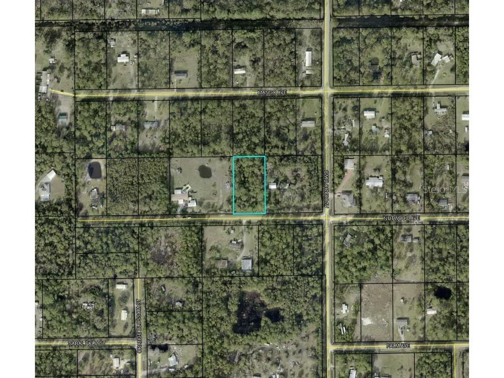 6044 Nutwood Avenue Bunnell FL 32110 TB8455295 image3
