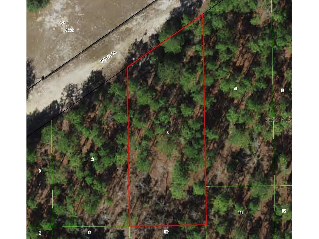 6046 W Pell Place Dunnellon FL 34433 TB8482566 image1