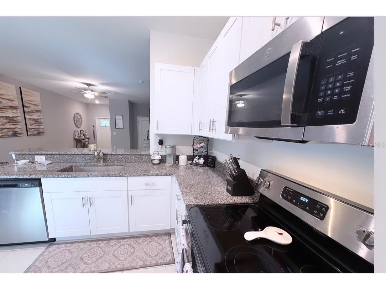 6047 Acara Lane Land O Lakes FL 34638 TB8517380 image10