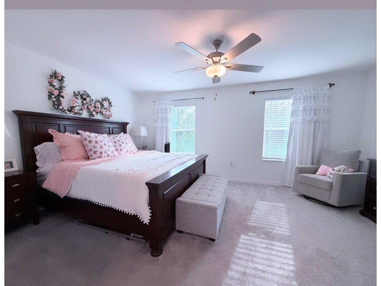 6047 Acara Lane Land O Lakes FL 34638 TB8517380 image21