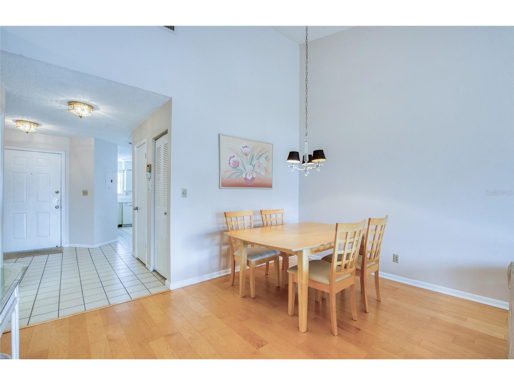 6047 Bahia Del Mar Boulevard #262 Saint Petersburg FL 33715 TB8454021 image9