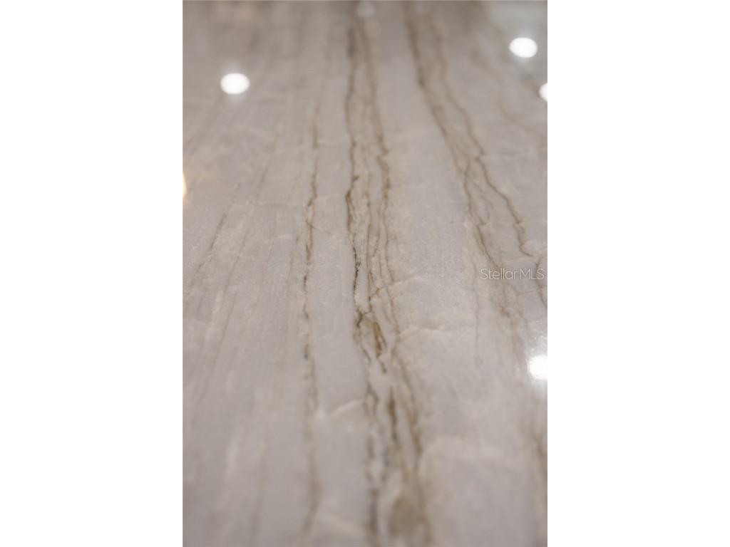 6047 Blakeford Drive Windermere FL 34786 O6355716 image24