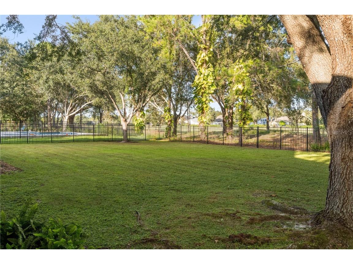 6047 Blakeford Drive Windermere FL 34786 O6355716 image28