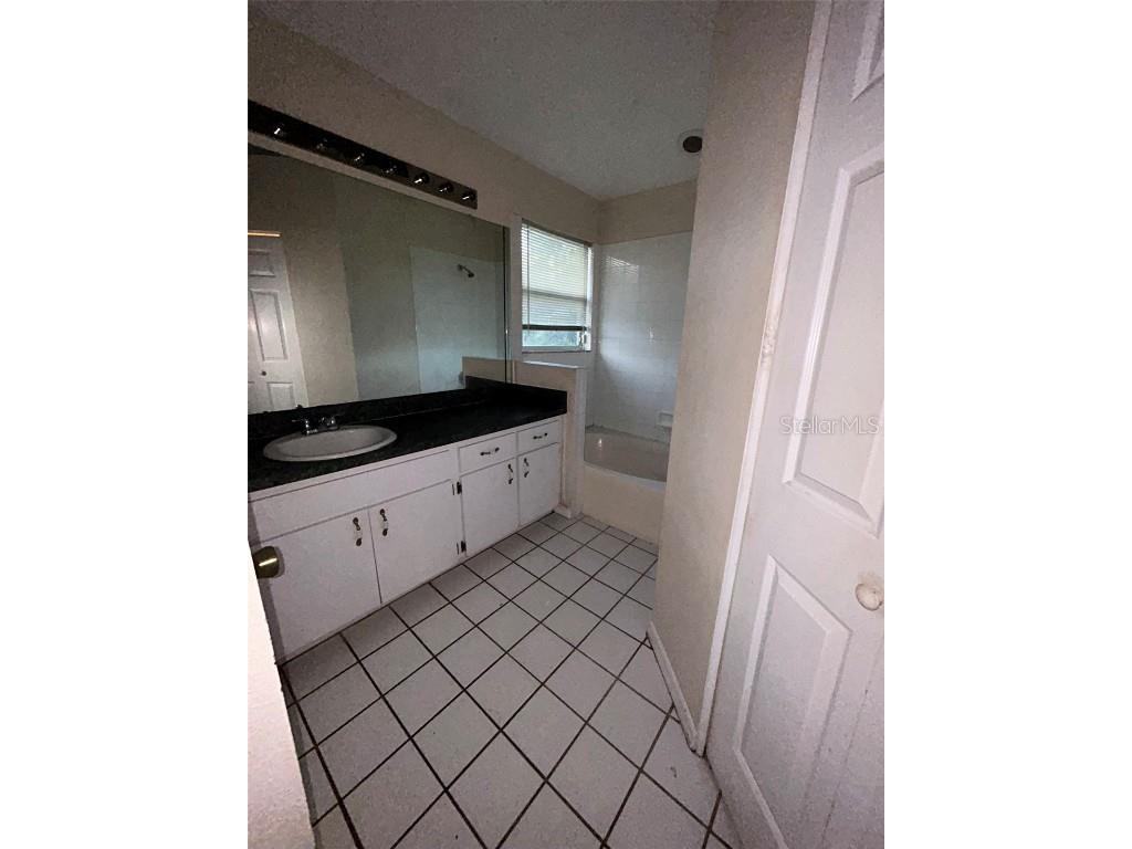 6048 Sand Key Lane Wesley Chapel FL 33545 A4668174 image10