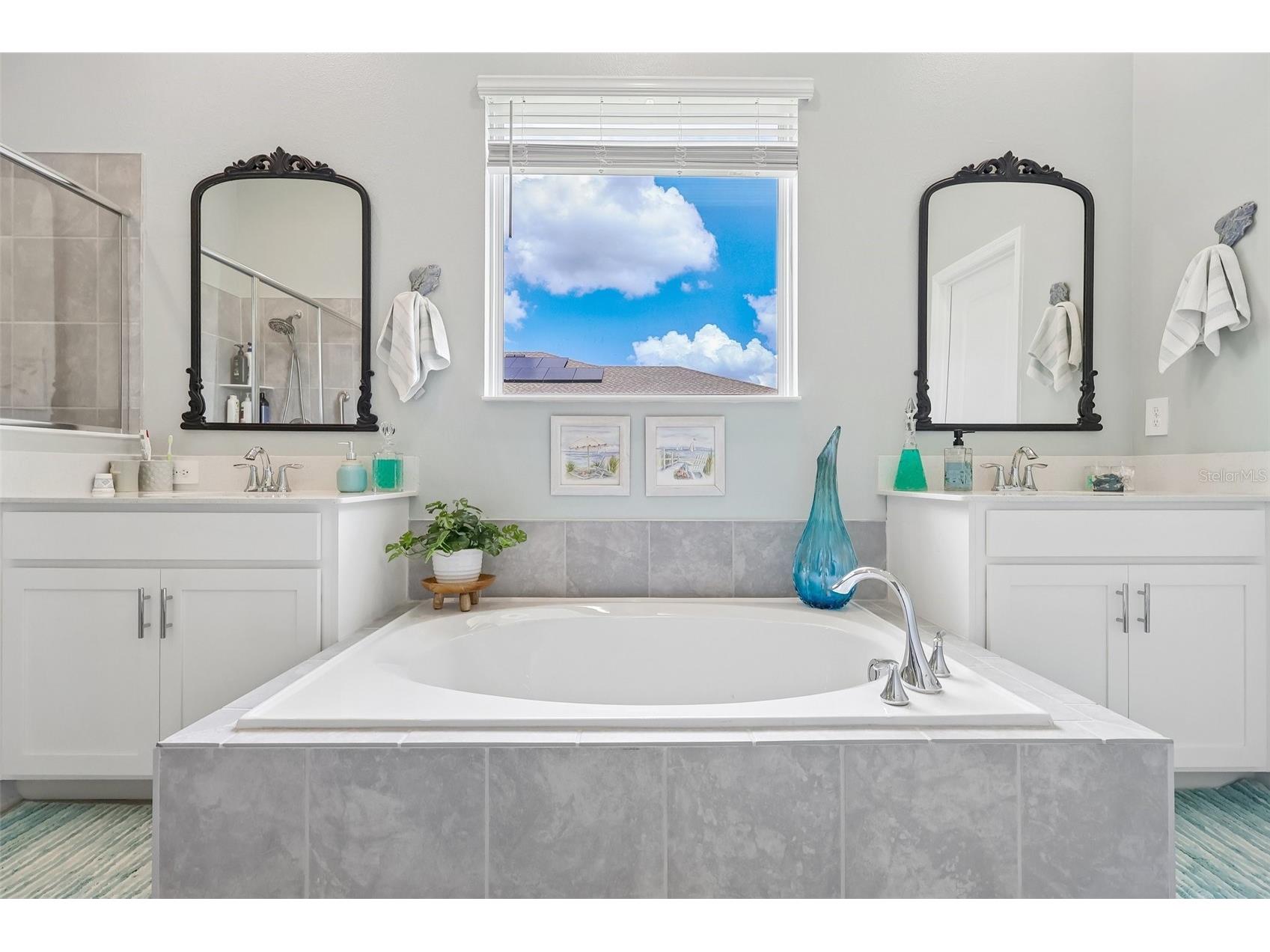 6049 Claystone Way Mount Dora FL 32757 G5110742 image25