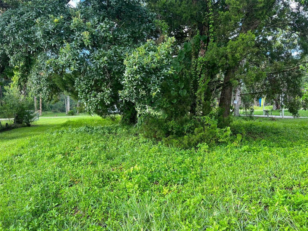 6049 Colony Circle Weeki Wachee FL 34607 - DIRECT GULF VIA MUD RIVER W7856832 image4