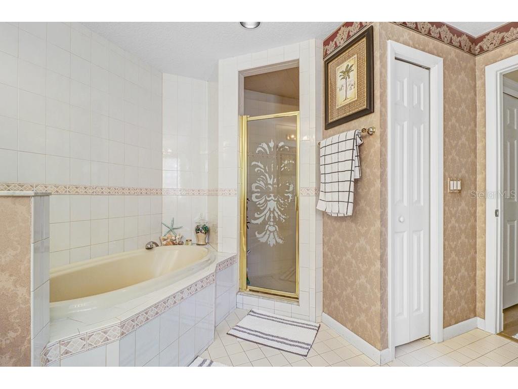 6049 Gentle Ben Circle Wesley Chapel FL 33544 TB8516198 image11