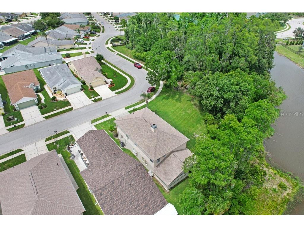 6049 Gentle Ben Circle Wesley Chapel FL 33544 TB8516198 image23