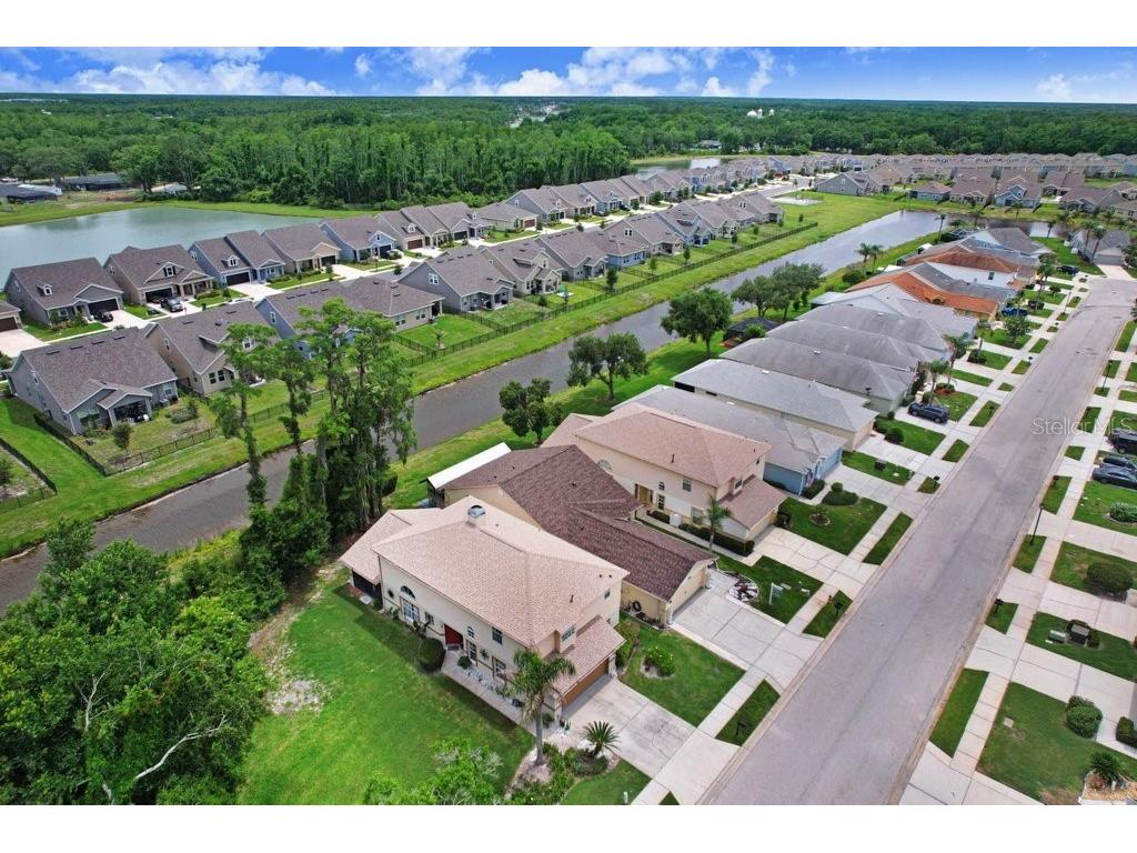 6049 Gentle Ben Circle Wesley Chapel FL 33544 TB8516198 image25