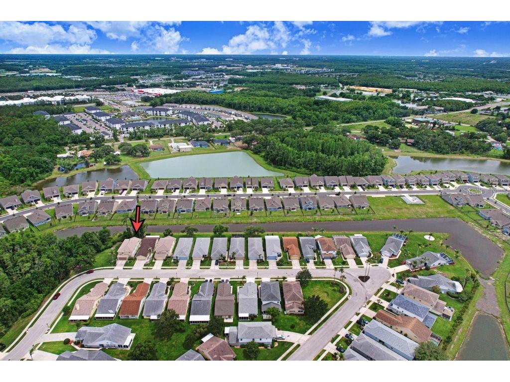 6049 Gentle Ben Circle Wesley Chapel FL 33544 TB8516198 image26