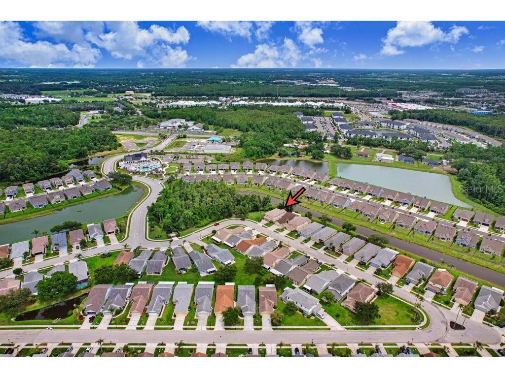 6049 Gentle Ben Circle Wesley Chapel FL 33544 TB8516198 image27