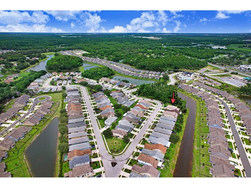 6049 Gentle Ben Circle Wesley Chapel FL 33544 TB8516198 image28