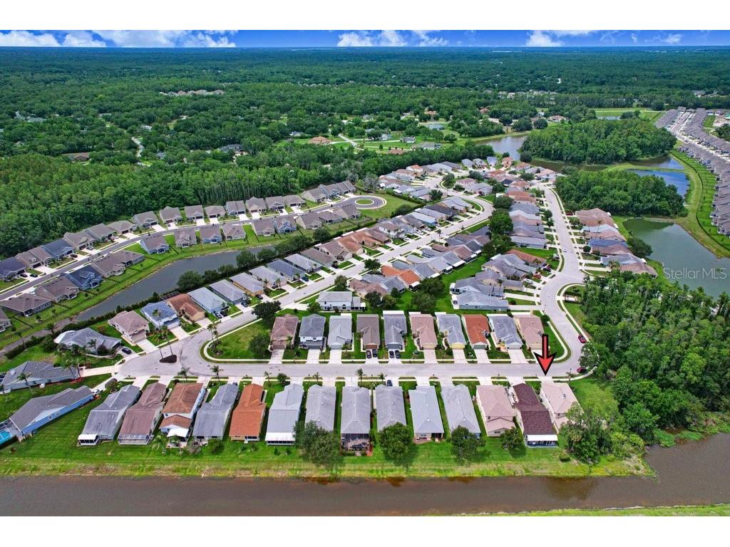 6049 Gentle Ben Circle Wesley Chapel FL 33544 TB8516198 image29