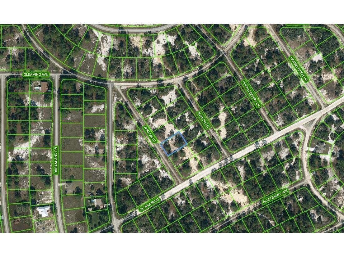 605 Avalon Court Lake Placid FL 33852 OM624339 image1