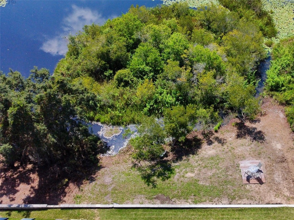 605 Black Eagle Drive Groveland FL 34736 G5097474 image48