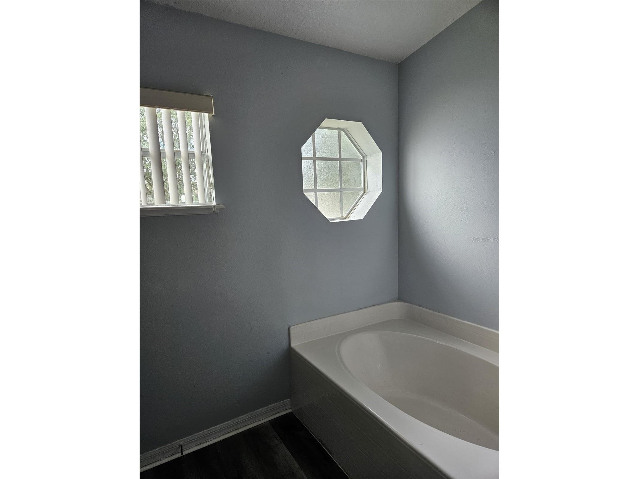 605 Blake Avenue Davenport FL 33897 S5147269 image12