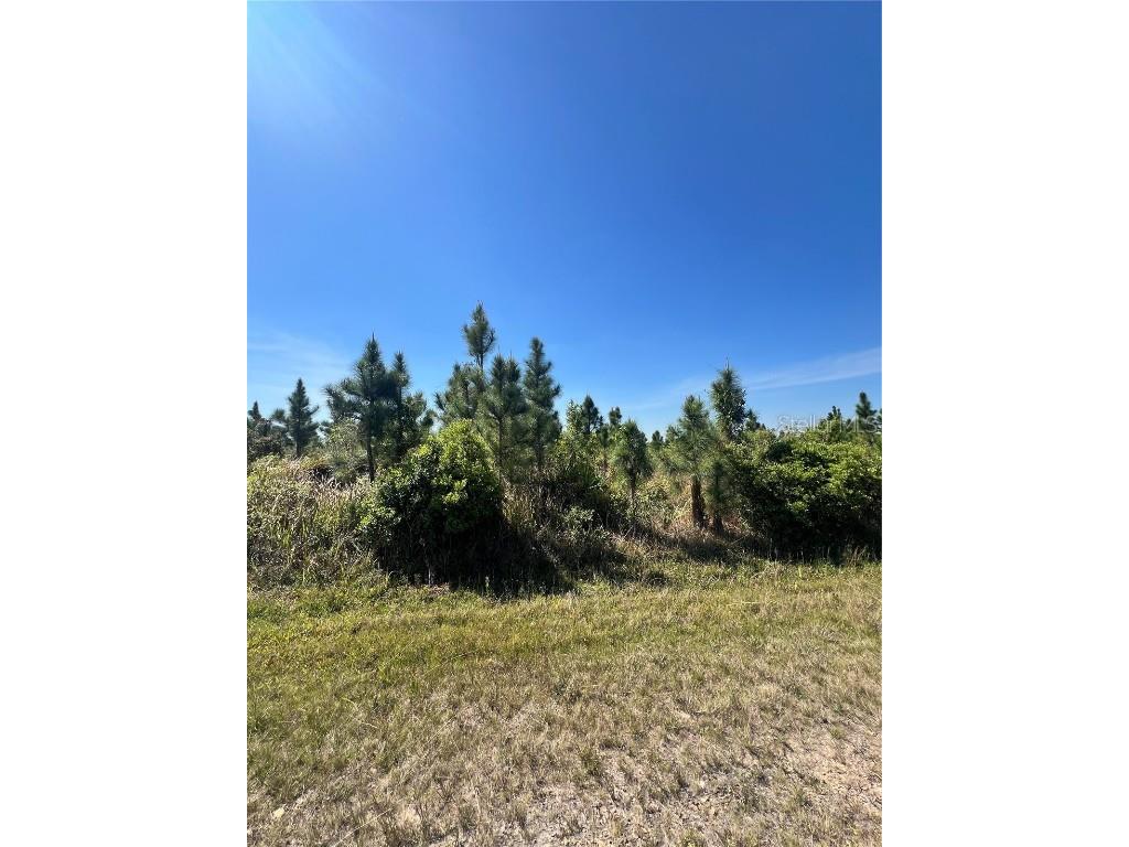 605 Calendula Drive Indian Lake Estates FL 33855 L4951796 image1