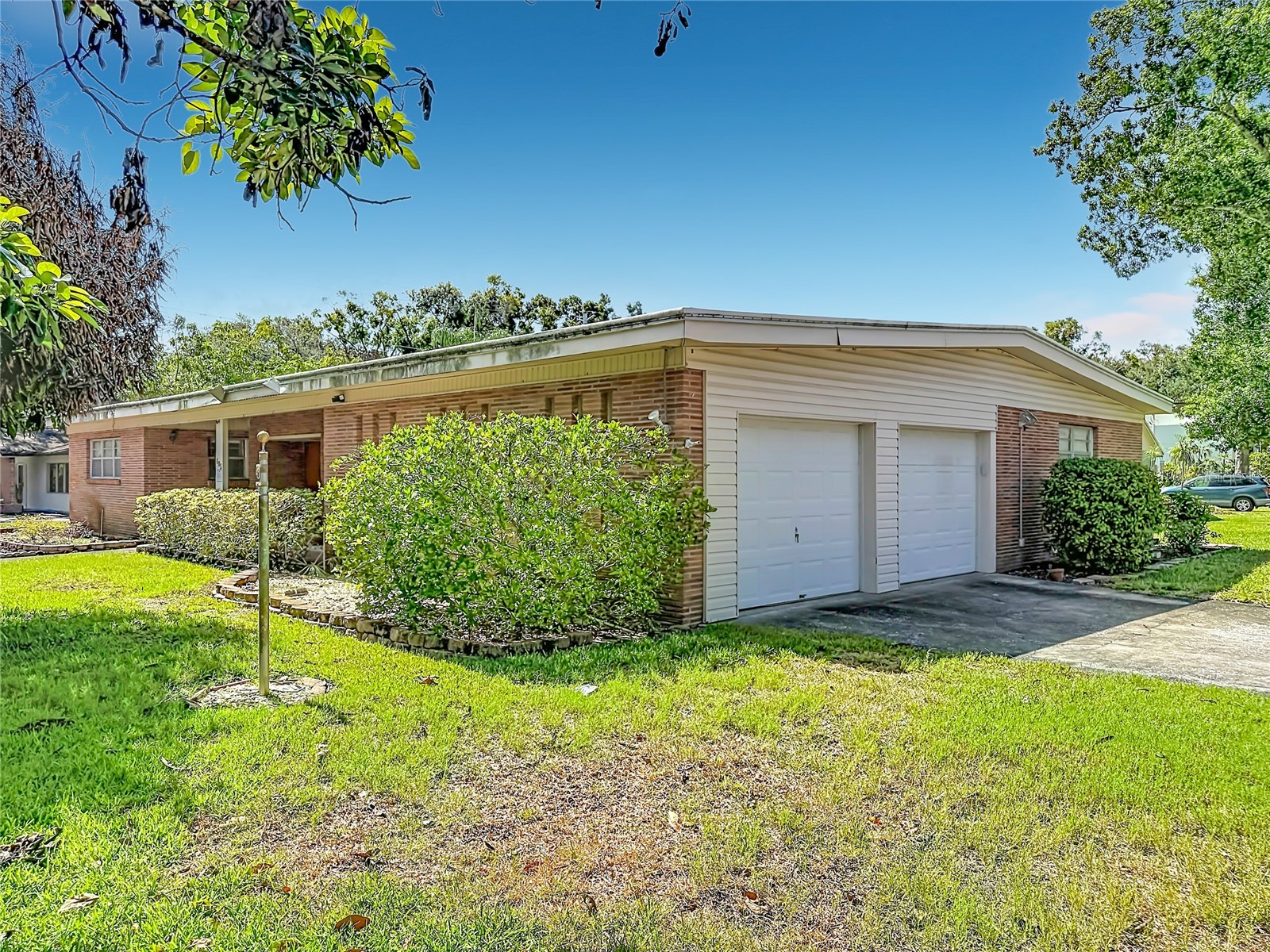 605 Courtney Drive Tampa FL 33617 TB8517226 image4