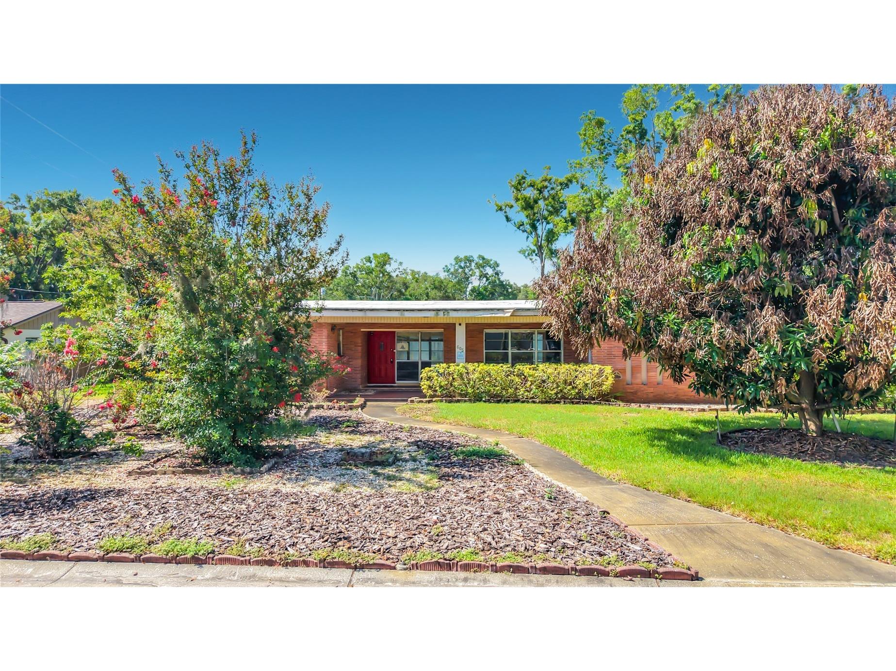 605 Courtney Drive Tampa FL 33617 TB8517226 image5