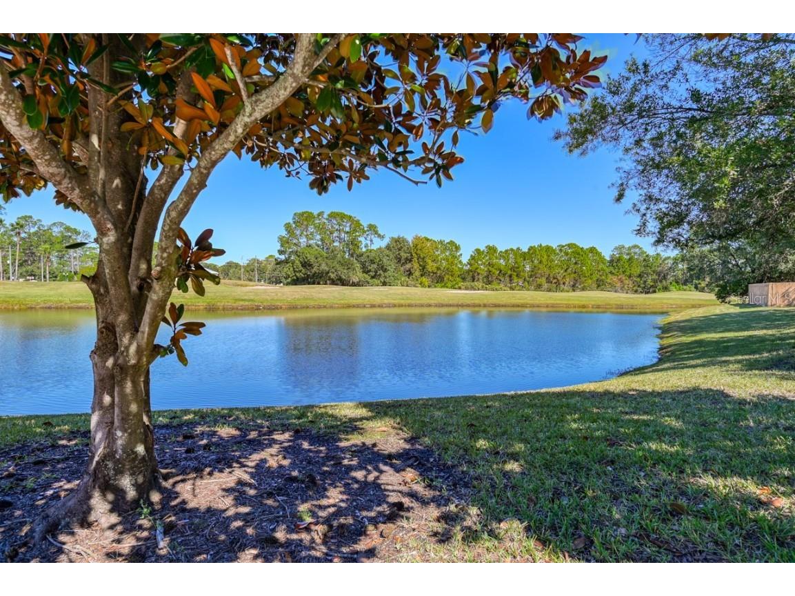 605 Fairway Drive #203 Saint Augustine FL 32084 FC314277 image23