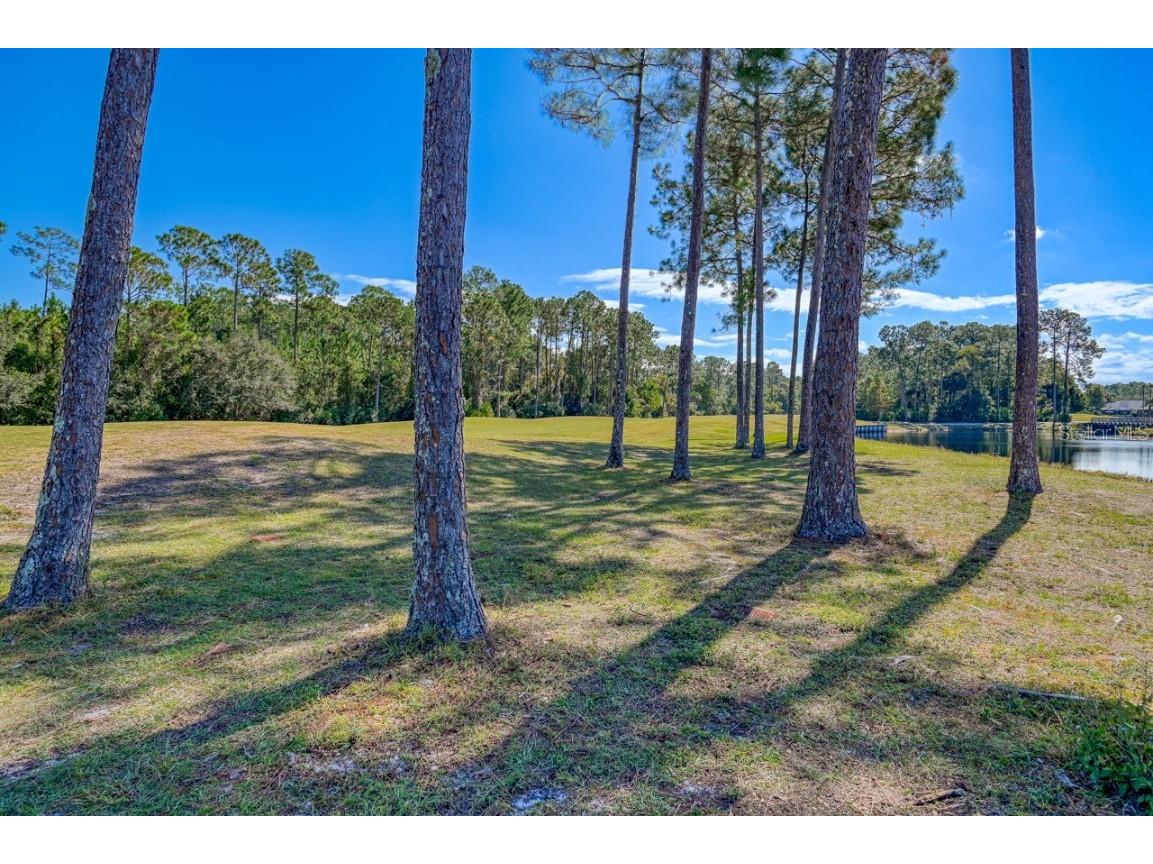 605 Fairway Drive #203 Saint Augustine FL 32084 FC314277 image35