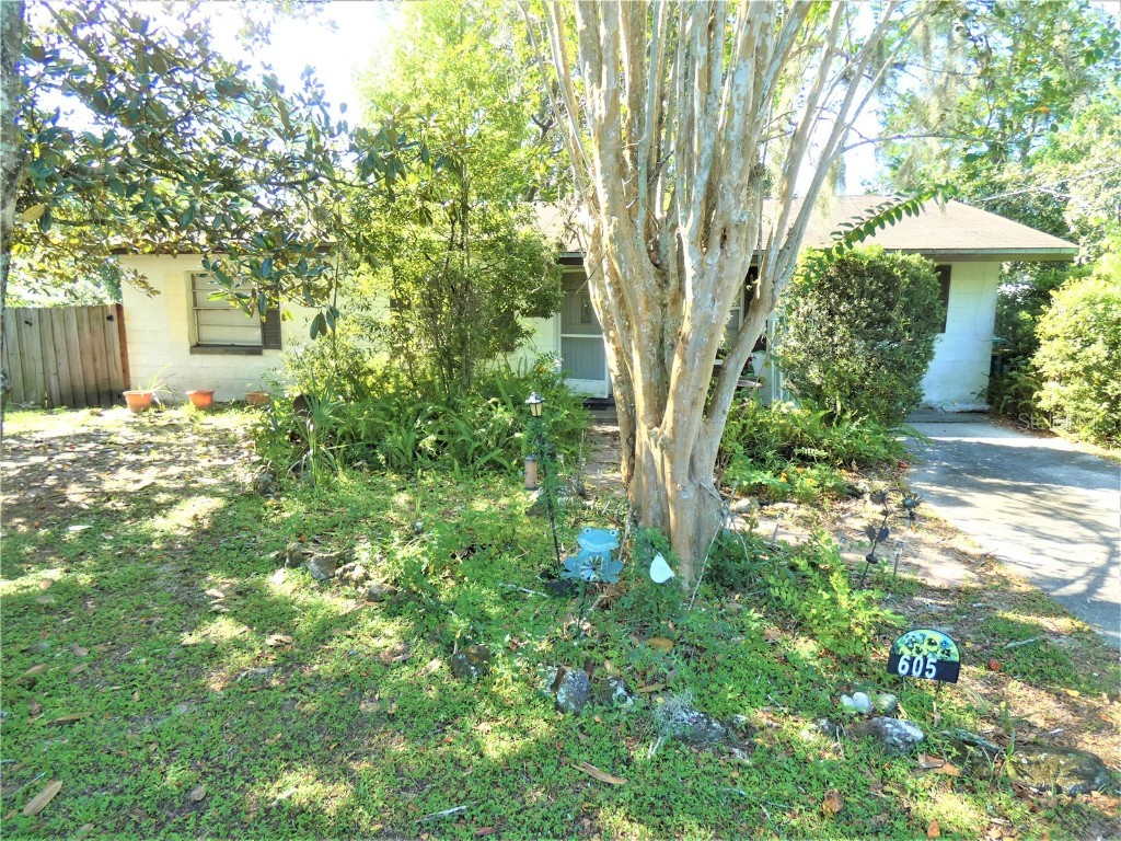 605 Hall Street Fruitland Park FL 34731 G5073121 image1