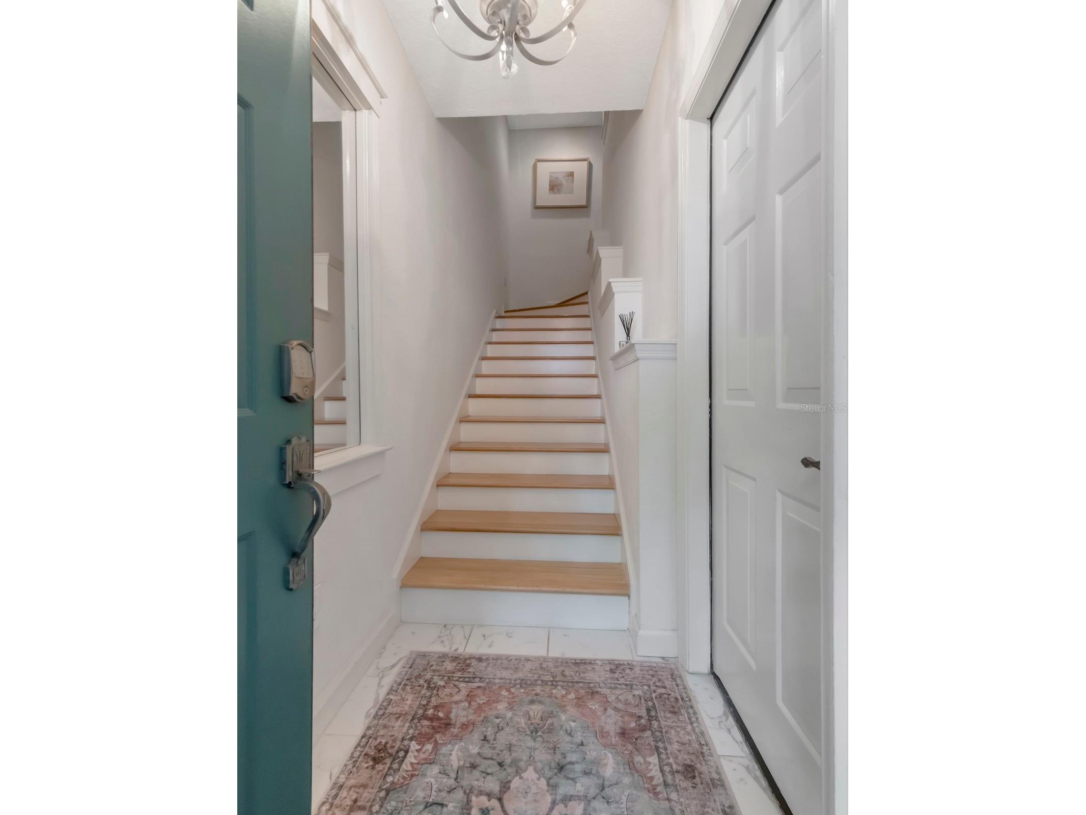 605 Island Place Way Tampa FL 33602 TB8485956 image2