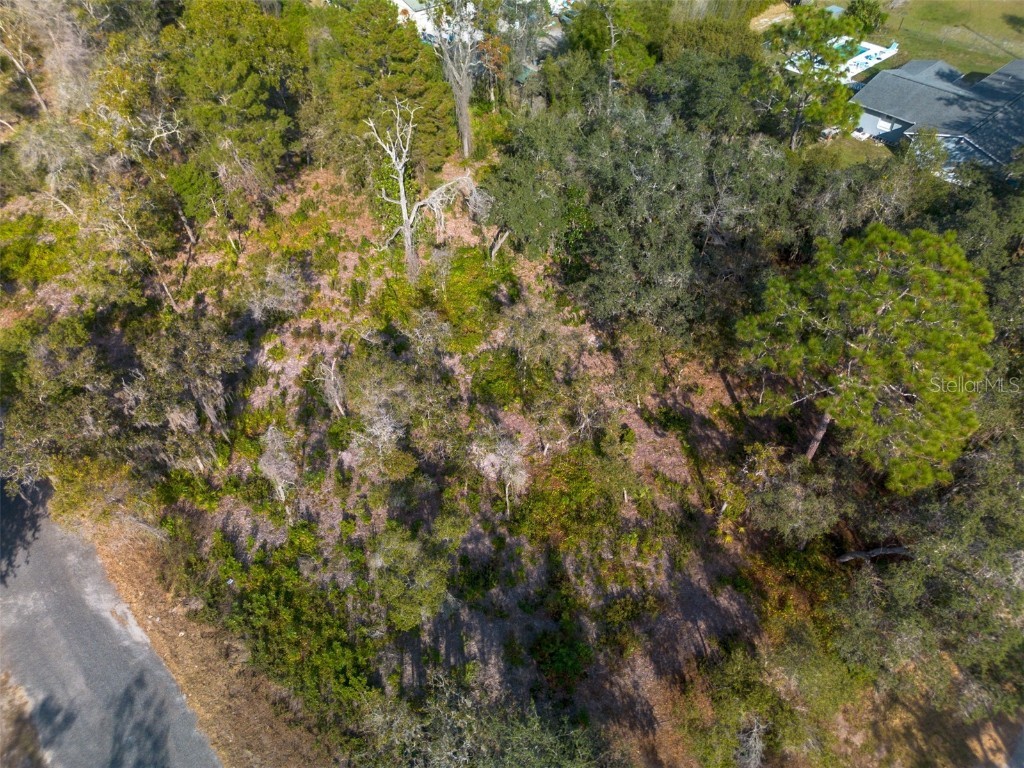 605 Lake Butler Avenue Osteen FL 32764 V4945907 image13